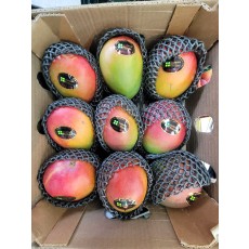 🥭[수입]애플망고(특) 1박