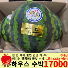 하우스 수박 / 국내산 1통 5kg