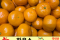 하우스 감귤 / 국내산 1팩(1kg 내외)