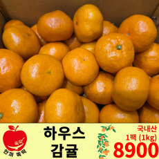 하우스 감귤 / 국내산 1팩(1kg 내외)