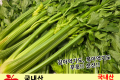 셀러리 / 국내산 1단