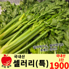 셀러리 / 국내산 1단