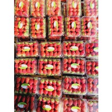 🍓설향딸기 🔥3팩🔥🍓