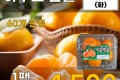 하우스 감귤 1팩