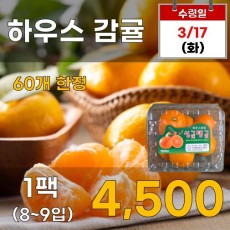 하우스 감귤 1팩