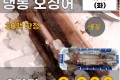 국내산 냉동 오징어 2마리