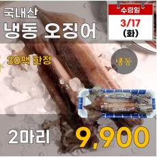 국내산 냉동 오징어 2마리