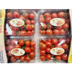 🍅[국산]대추방울토마토 1팩(730g↑)