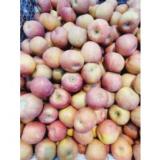 🍎[국산]안동부사사과 6개/1봉(고올라!고올라!)