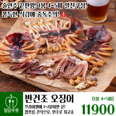 반건조오징어 [30입/박스]