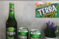 테라 캔맥주 453ml*8입