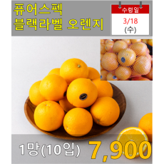 퓨어스펙 블랙라벨 오렌지 1망(10입)