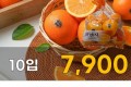 퓨어스펙 고당도 오렌지 10입