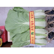 🥬[국산]얼갈이 1단🥬