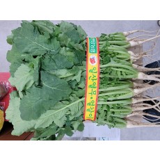 🥬[국산]열무 1단🥬