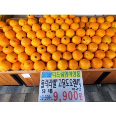 🍊[수입]블랙라벨-고당도오렌지 🔥10개/1봉🔥(고올라!고올라!)