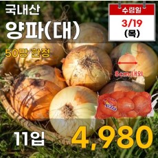 국내산 양파(대) 11입