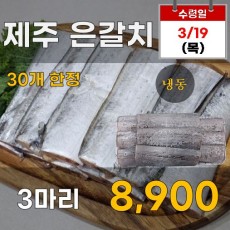 제주 은갈치(냉동) 3마리