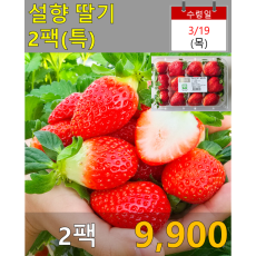 설향 딸기(특) 2팩