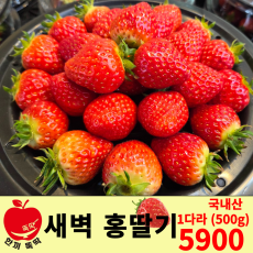 새벽 홍딸기 / 국내산 1다라 (500g) 2개 주문 시 9900원 자동할인!