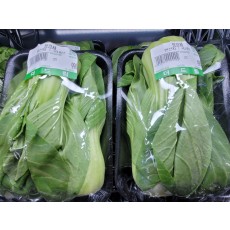 🥬청경채 1팩