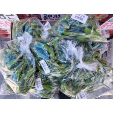 🌶️청양고추(특) 300g/1봉