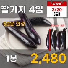 찰가지 4입
