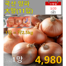 국산 양파 大망(11입)