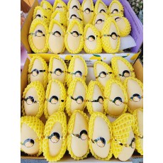 🍊골드망고(특) 4개