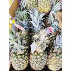 🍍[수입]파인애플 1통