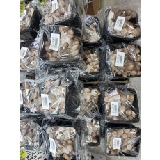 🍄고기느타리버섯 1팩