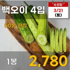 백오이 4입