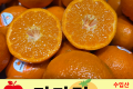 만다린 / 수입산 1팩 (1kg)
