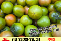 진짜 대저 짭짜리 토마토 1팩 (1kg 내외)
