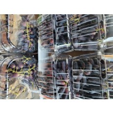 🫐[수입]블랙사파이어 800g/1팩