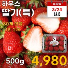 하우스 딸기(특) 500g