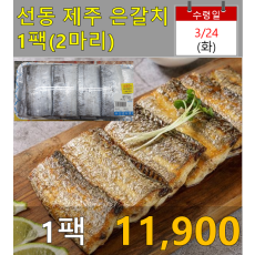 선동 제주은갈치 1팩(2마리)