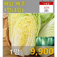 해남 배추 1망(3포기)