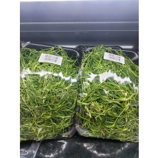 🍃세발나물 1팩