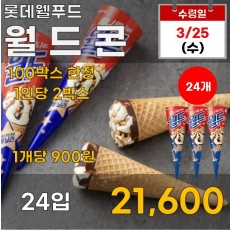 월드콘 24입