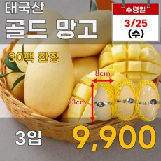 태국산 골드 망고 3입