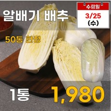 알배기 배추 1통