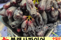 블랙사파이어 / 수입산 1봉 (800g 내외)