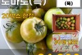 대저 토마토 2.5kg