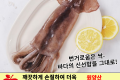 손질 통오징어 1마리