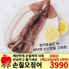 손질 통오징어 1마리