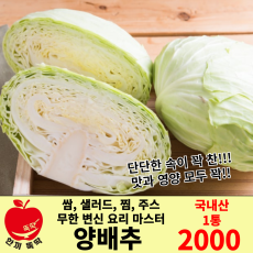 양배추 1통 / 국내산