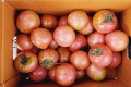 🍅홍)대저토마토(짭짤이) 2.5kg/1상자🍅