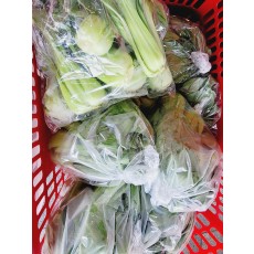 🥬청경채 1봉/400g