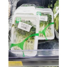 🌱무순(소) 1팩